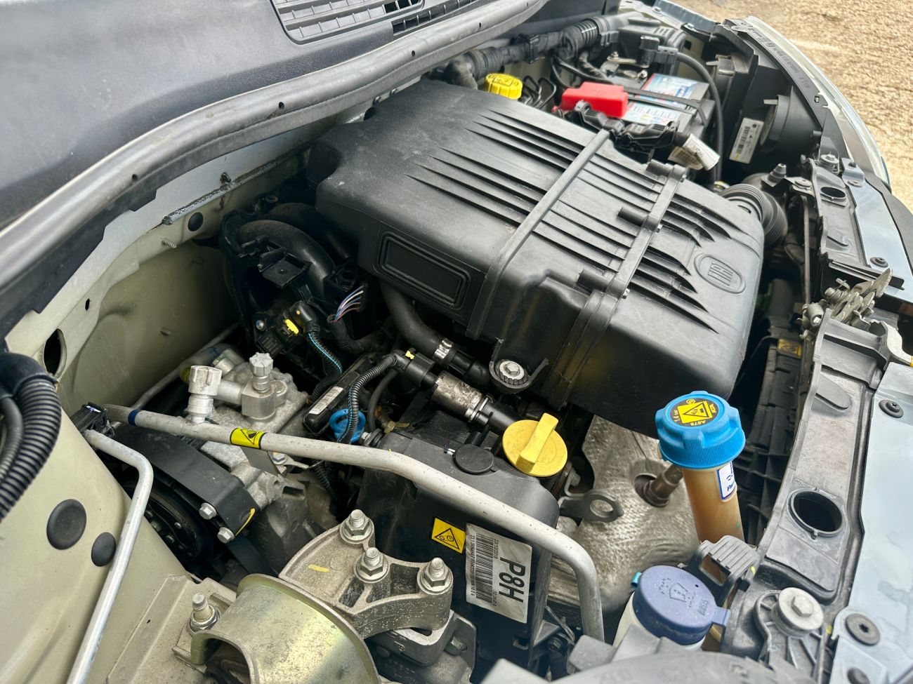 Mandataire FIAT PANDA 1.2 69 ch S/S Easy